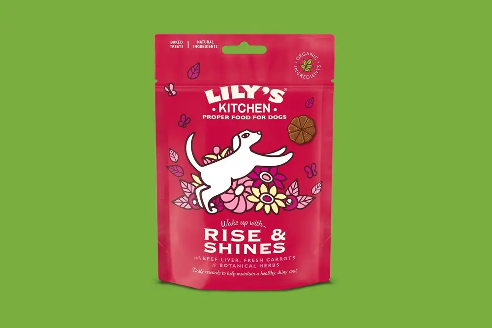 Lily's Kitchen Rise & Shines 100g