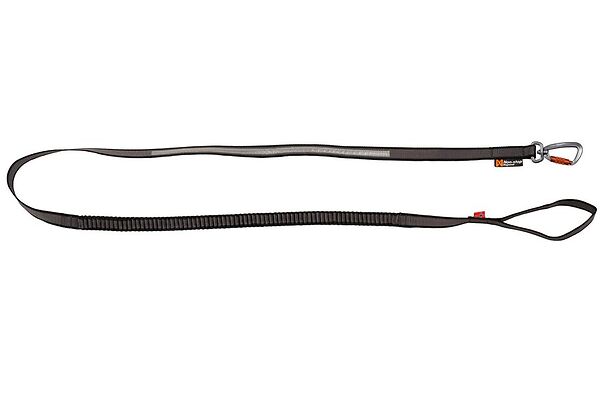 Bungee touring leash