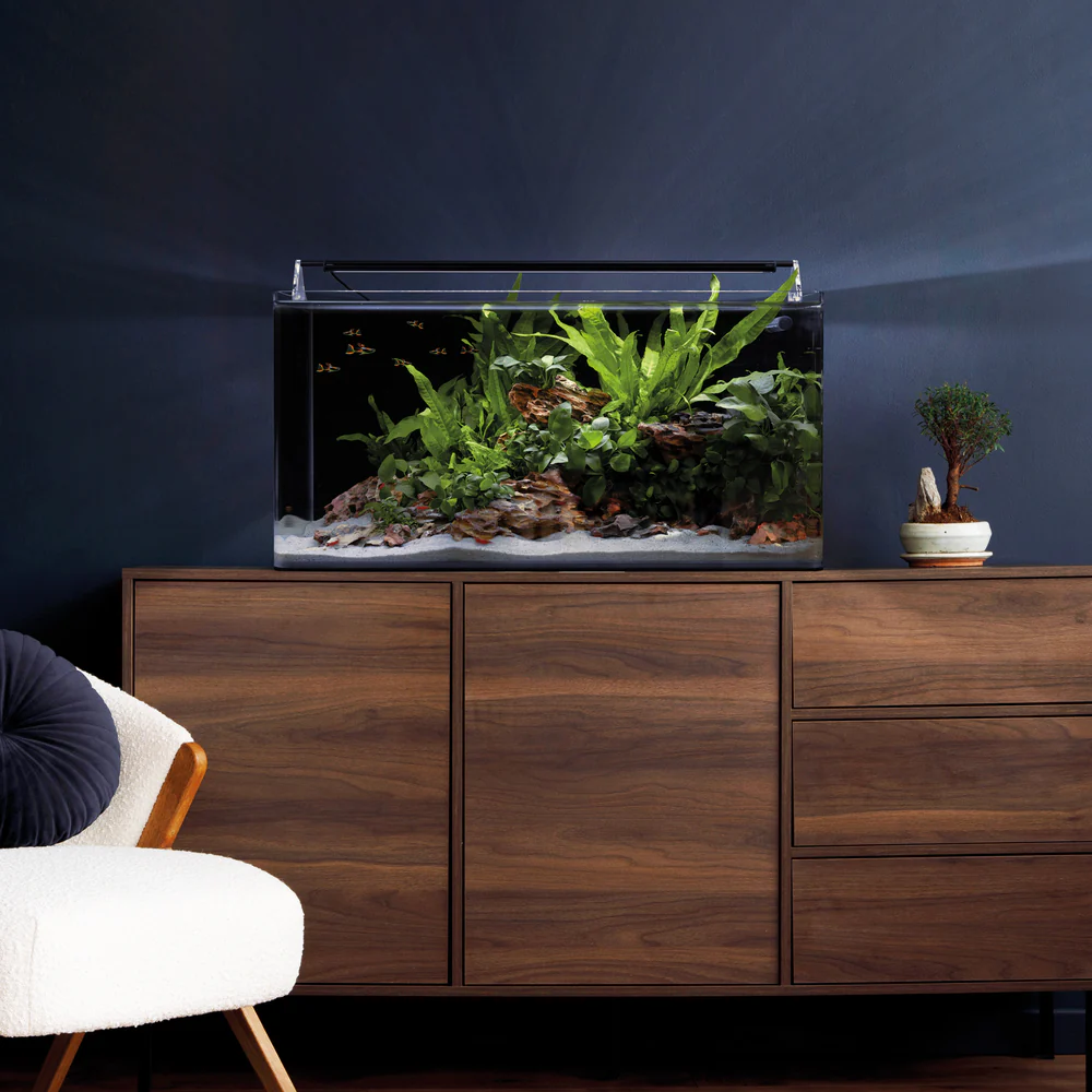 Dennerle Nano Tank Basic, 60L