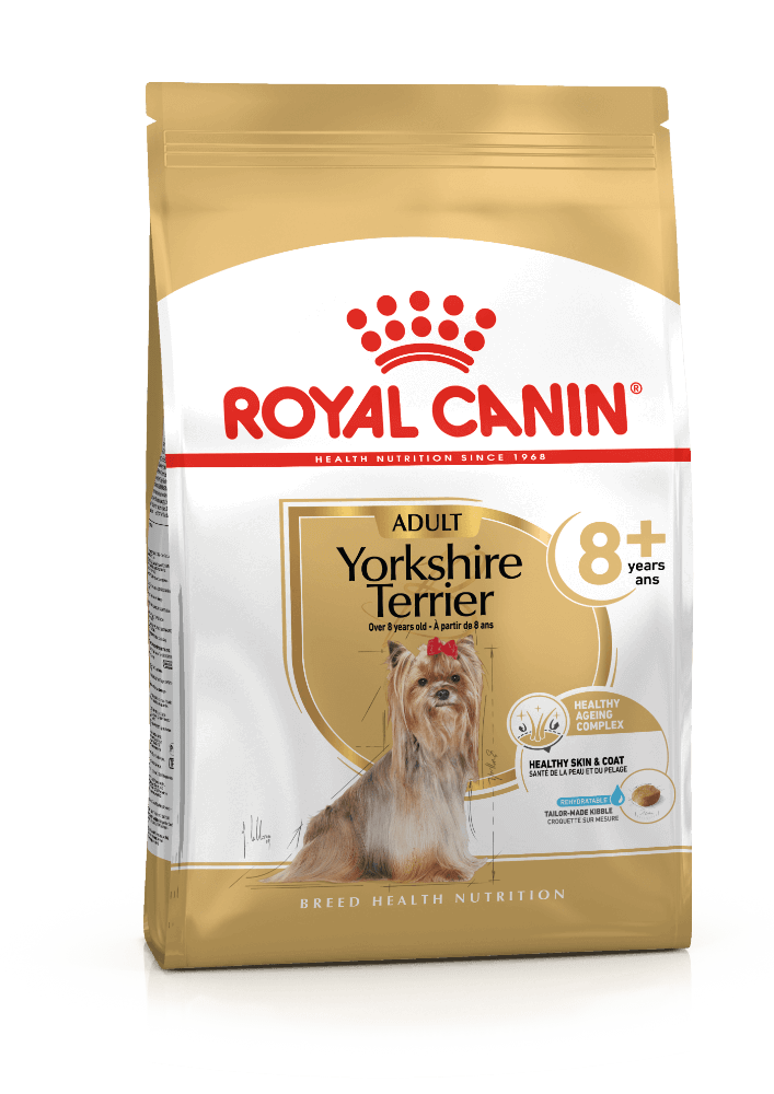 Yorkshire Terrier 8+ 1.5kg 
