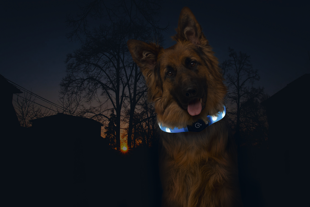 Karlie Visio Light LED Halsband für Langhaar-Hunde