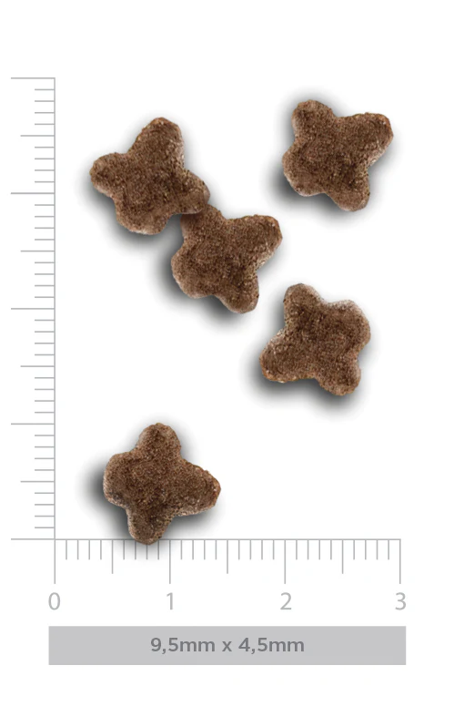 Amanova Katze, Trockenfutter Low Grain, Kitten Huhn, 300g