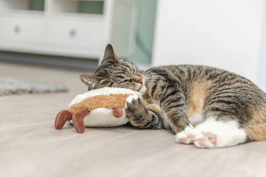 Trixie, Katzenplüschtier, Toast XXL, Plüsch, USA, Katzenminze, 18cm