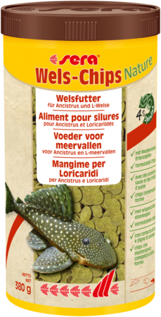 Wels Chips 1000ml