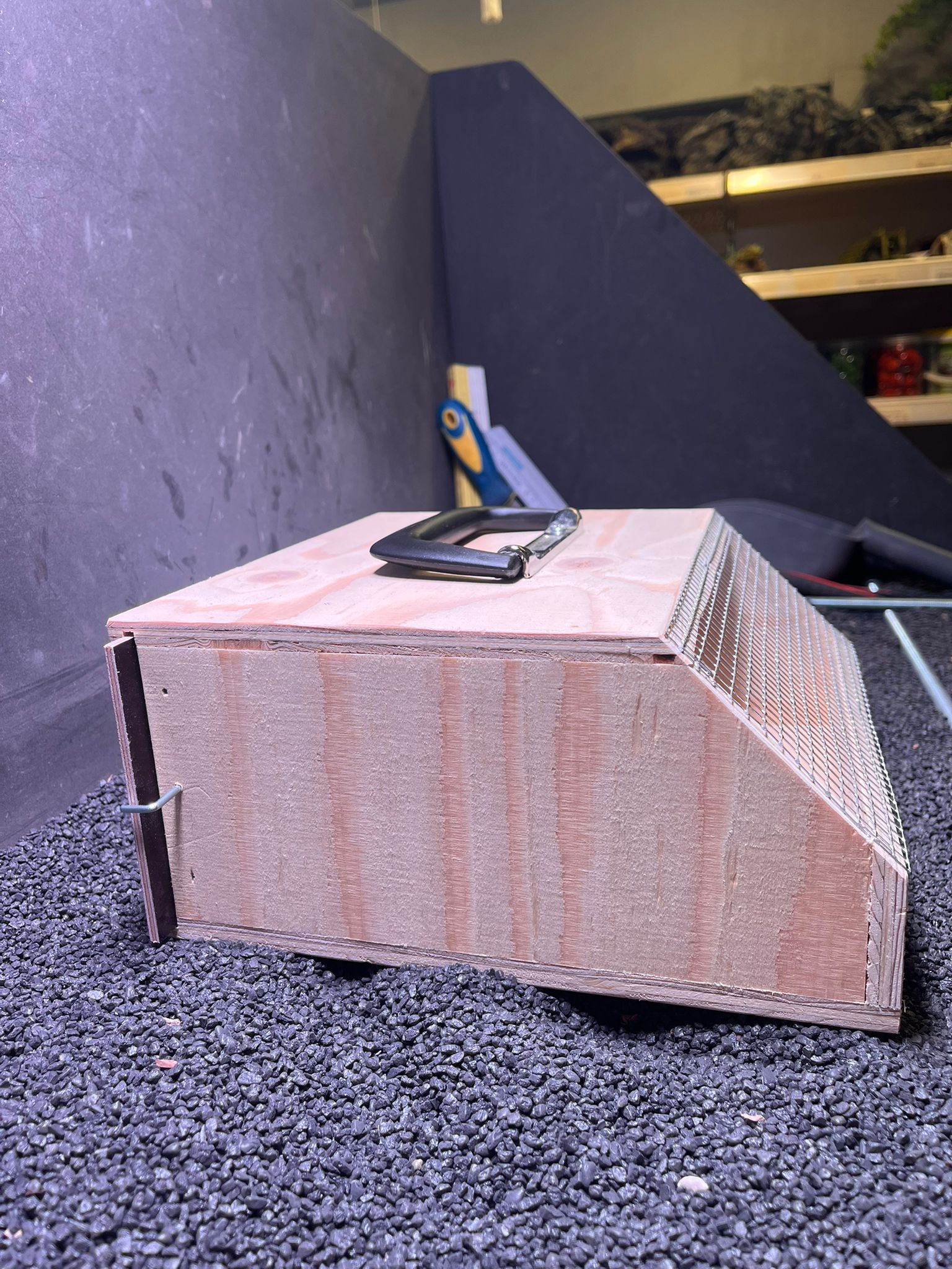 Vogeltransportbox Einer Grosssittich