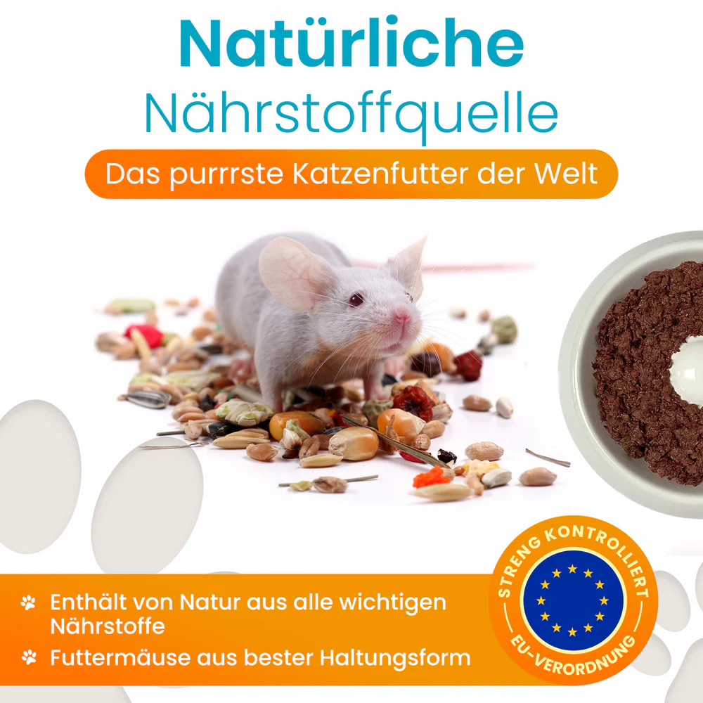 Lucky-Kitty Cat, Nassfutter, Premium Dose, 100% Maus Pur 100g