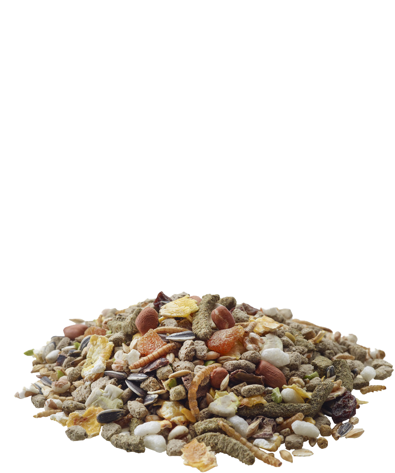 Versele Laga Nature Hamster Getreide, 700 g