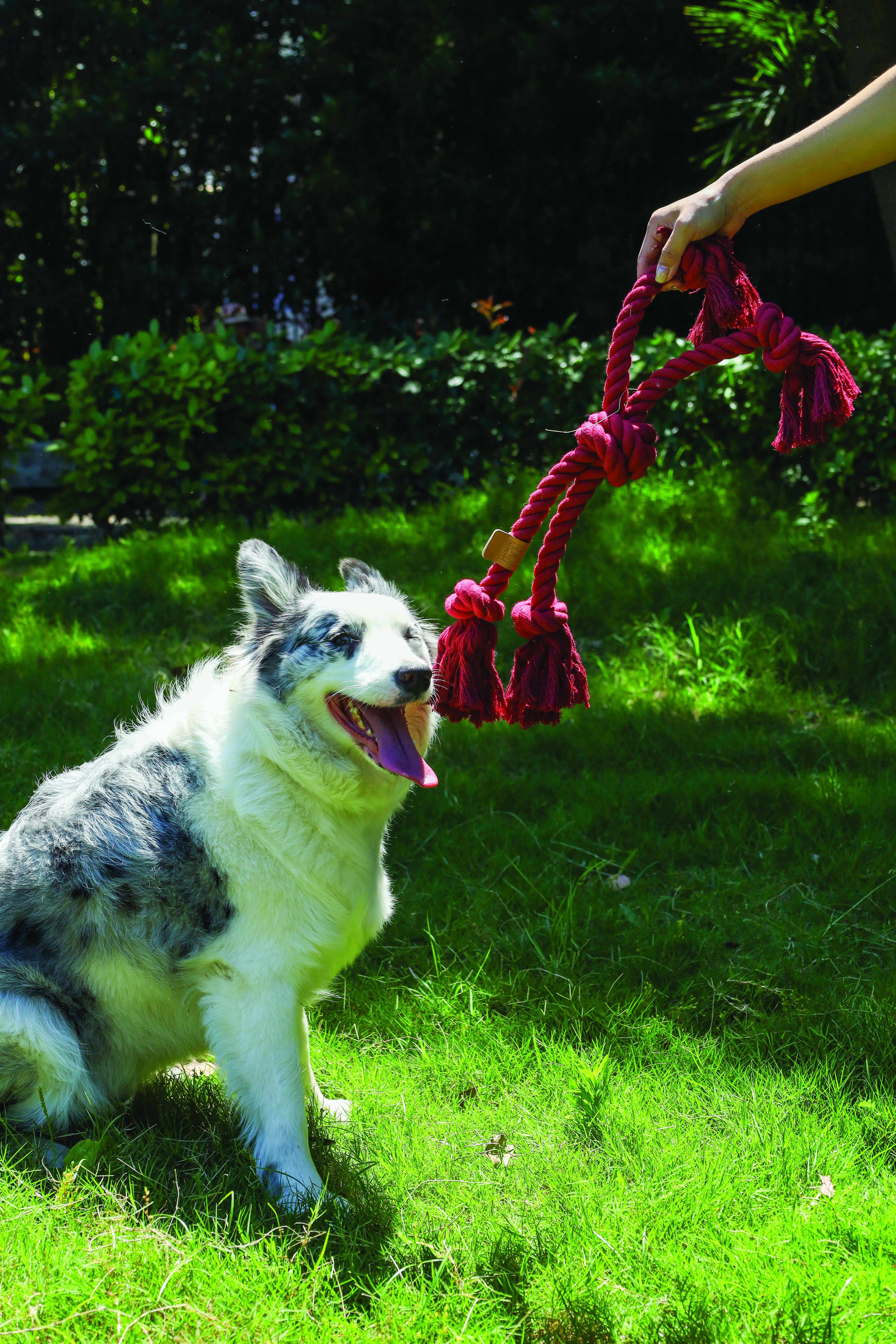 M-Pets Natur Baumwolle Spielzeug Kreuzknoten, 60cm