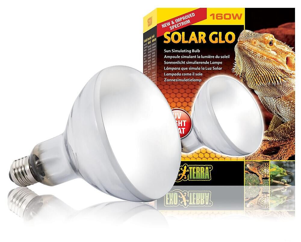 Solar Glo Lampe