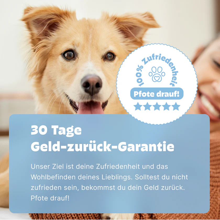 Pezz PCR Durchfalltest