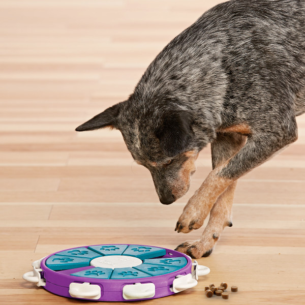 Nina Ottosson Dog Twister