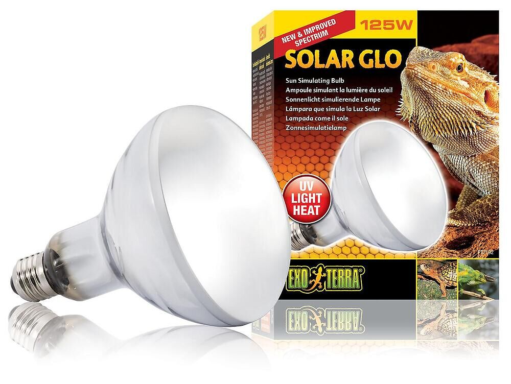 Solar Glo Lampe