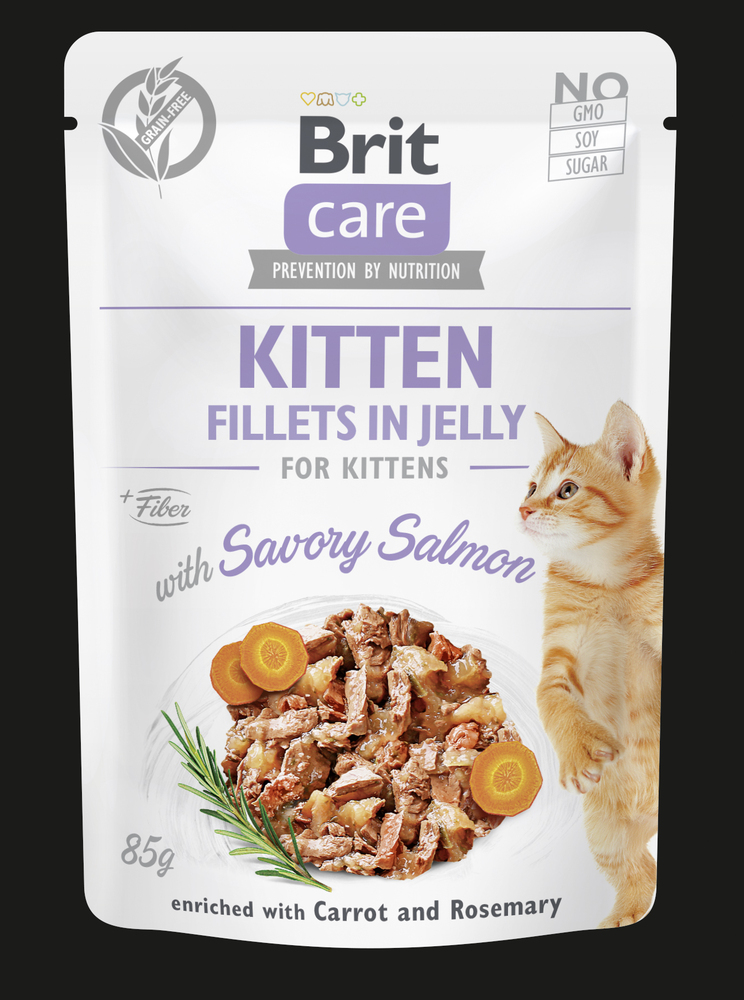 Brit Care Kitten in Jelly Lachs 85g