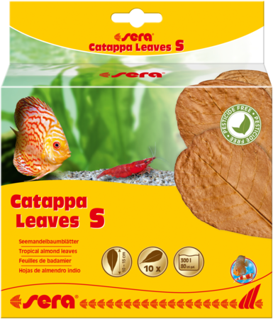 Catappa Leaves S