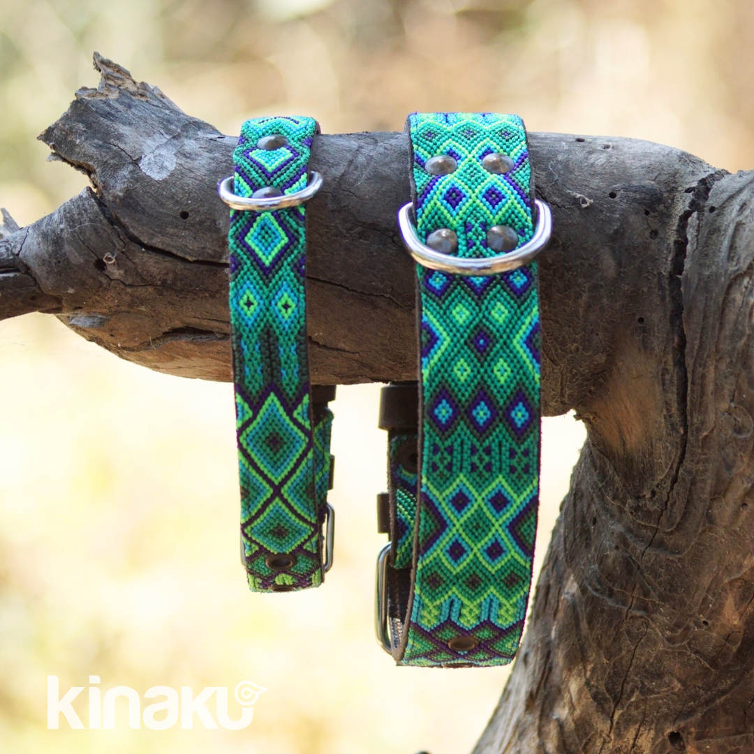 Kinakú Hundehalsband Becan XS, Grün-Oliv-Hellblau, 20g, 28x1.1cm