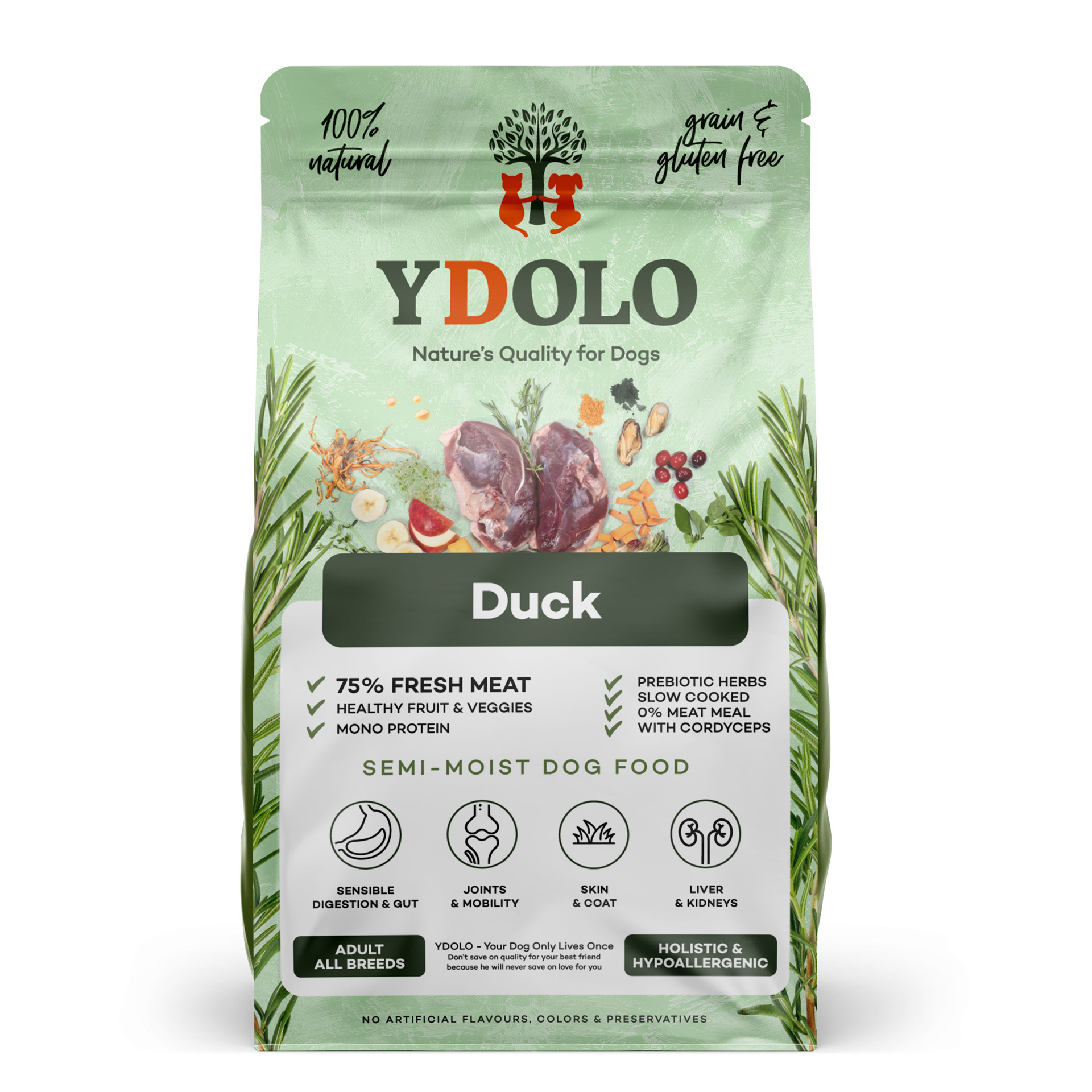 Ydolo Healthy&Fresh Ente (Monoprotein), 2.5kg