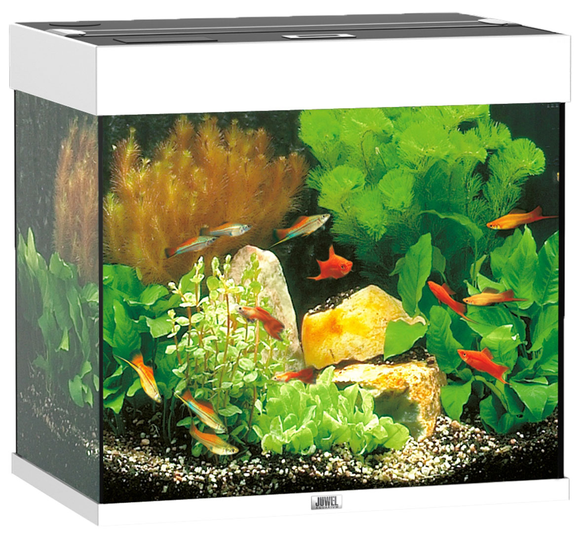 Juwel Aquarium Lido 120 LED