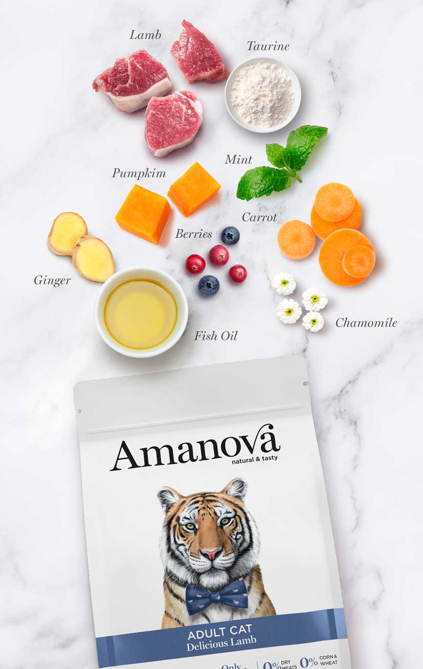 Amanova Katze, Trockenfutter Grain Free, Adult Lamm, 1.5kg