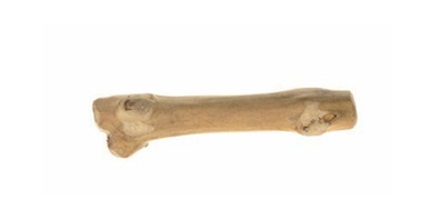 IMAC Java-Knochen (Kaffeebaum), 15x2cm, klein