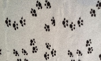 Dry Bed Hundedecke grau mit schwarzen kleinen Pfoten
