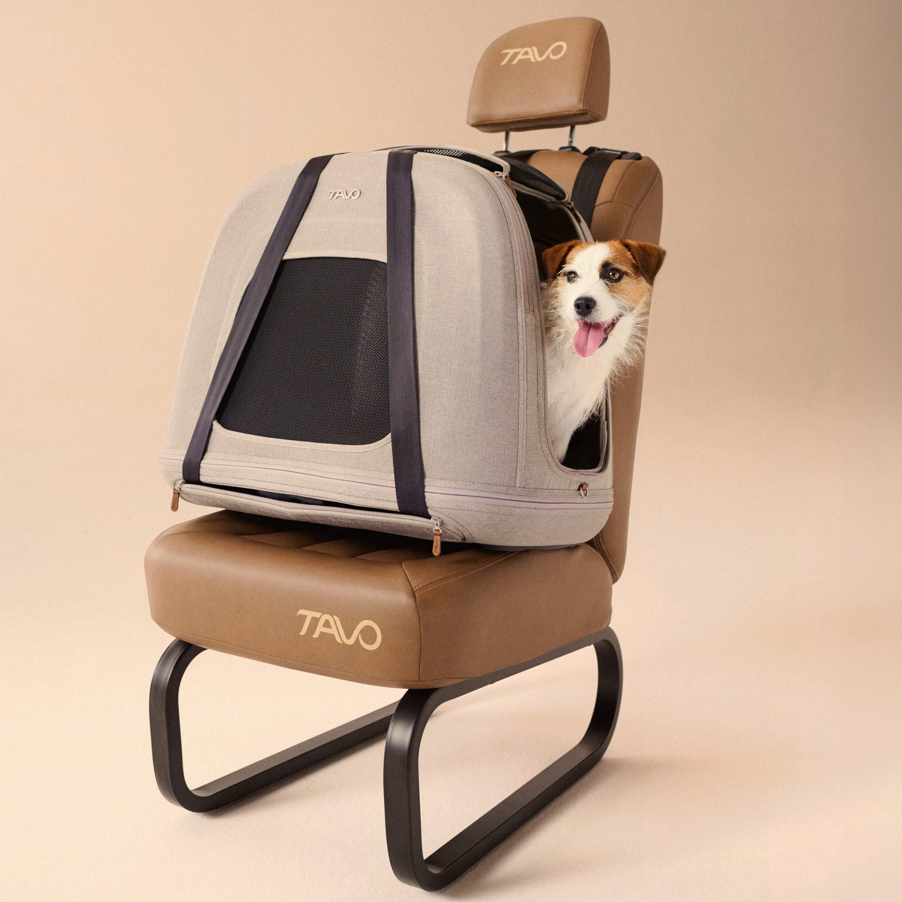 Tavo Crispin Transportbox für Haustiere