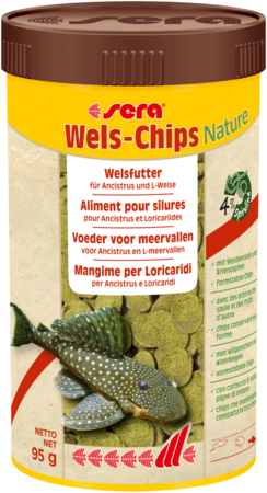 Wels Chips 250ml