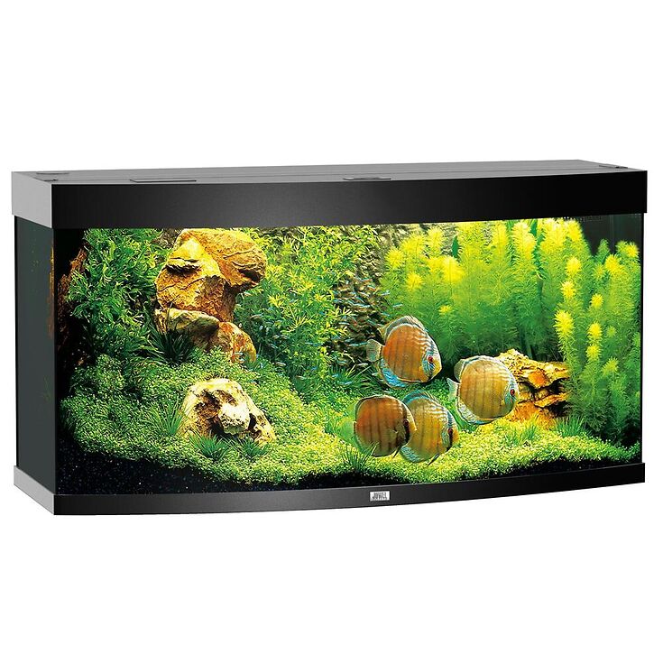Juwel Aquarium Vision 260 LED
