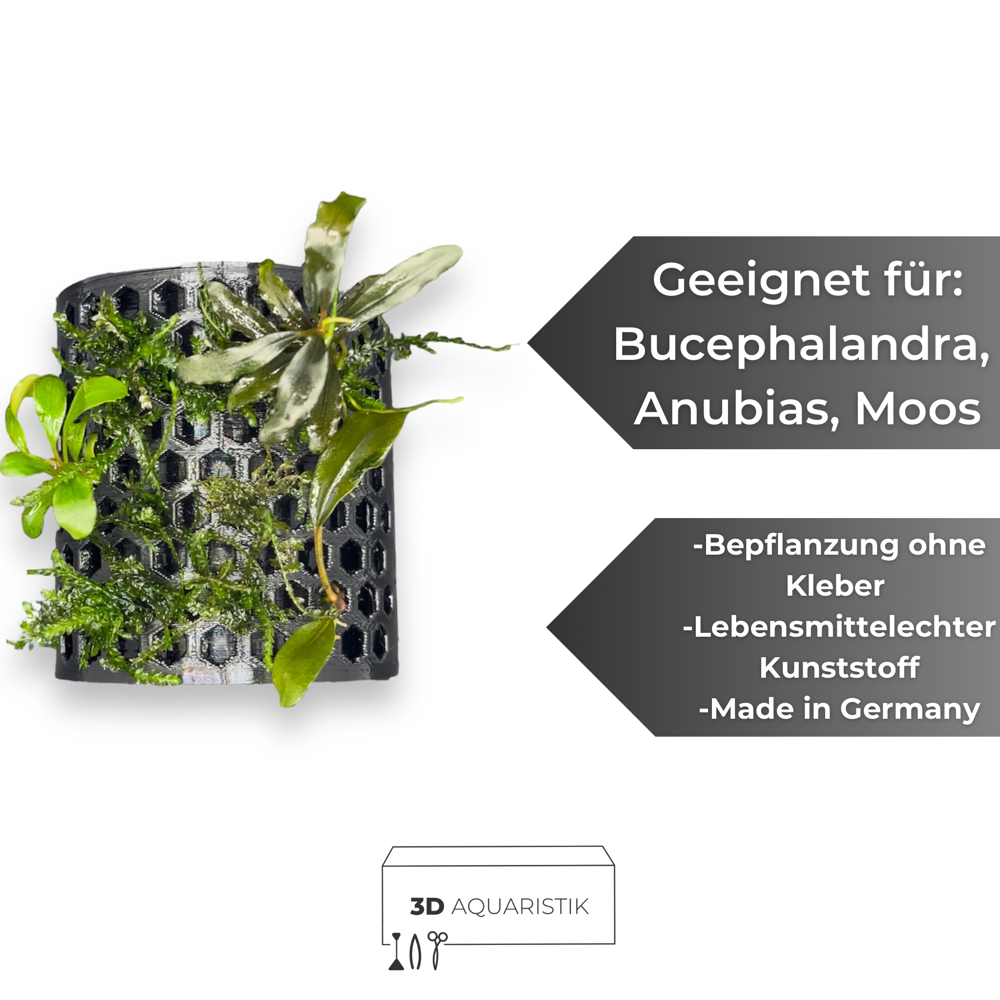 3D Pflanzenhöhle