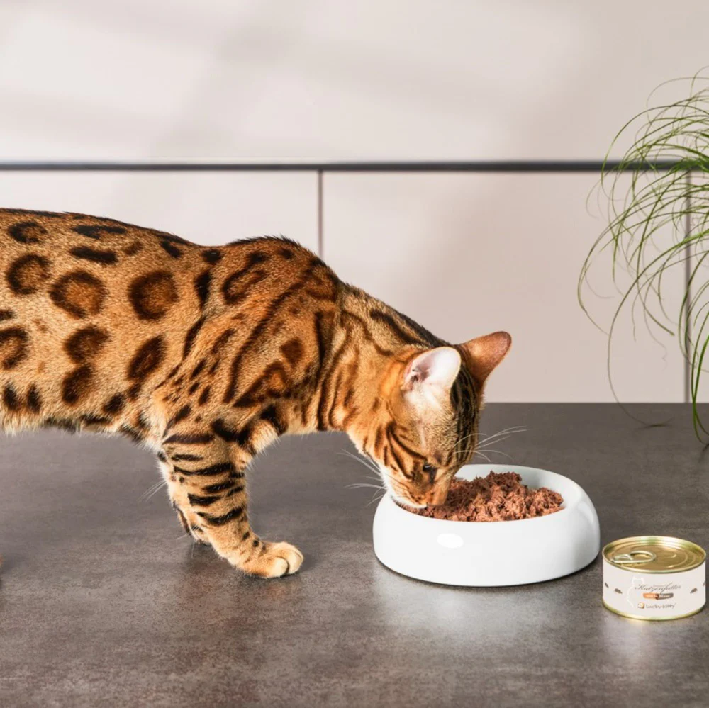 Lucky-Kitty Cat, Nassfutter, Premium Dose, 100% Maus Pur 100g