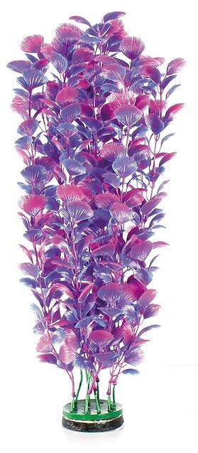 Fantasy Plant M