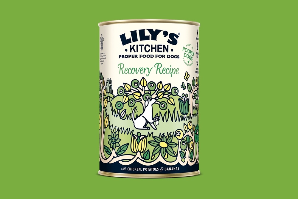 Lily's Kitchen Adult Recovery Recipe 400g