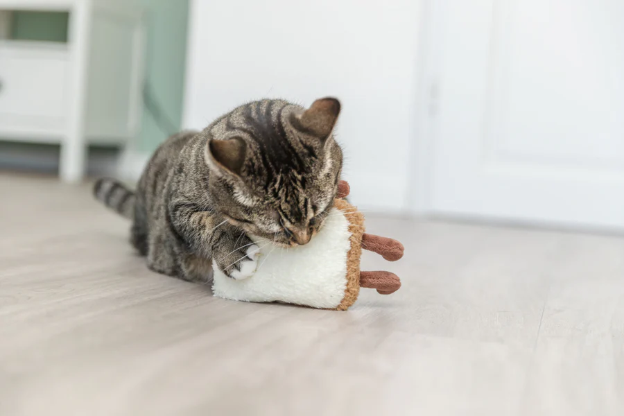 Trixie, Katzenplüschtier, Toast XXL, Plüsch, USA, Katzenminze, 18cm