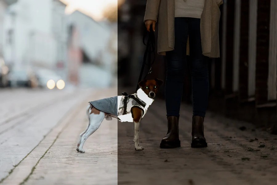 Trixie Hundegeschirr-Wintermantel Pontis Reflect, grau