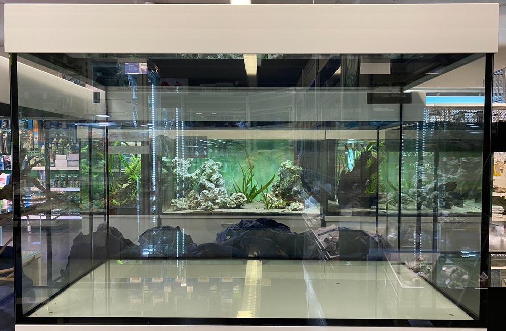 Aquarium Glas 100x50x60 300 Liter